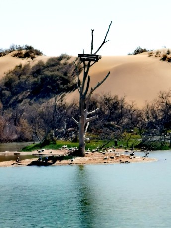 IMG_20250316_111340_edit_676393314679080