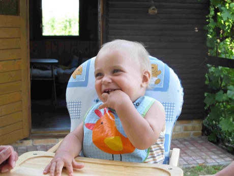 VIII/2010 Nerad /// VIII/2010