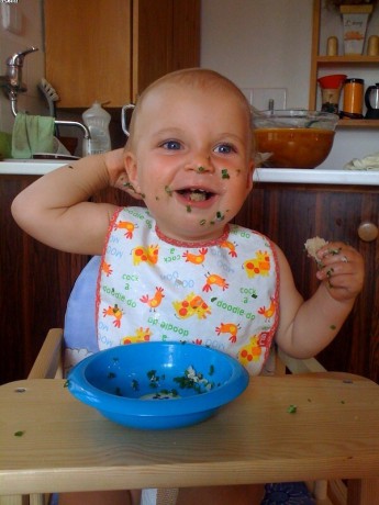 VIII/2010 /// VIII/2010