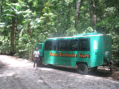 002c Fraser island-projíždíme tropickým pralesem.JPG