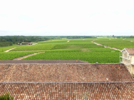 038 BDX Gruaud Larose 4