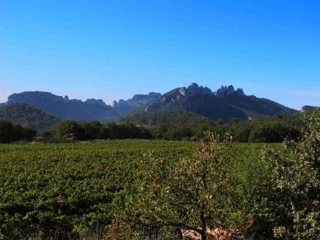 072 Redortier, Vacqueyras